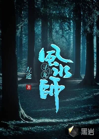 龍血風水師小說|龍血風水師全文閱讀,龍血風水師最新章節,龍血風水師TXT下載,作。